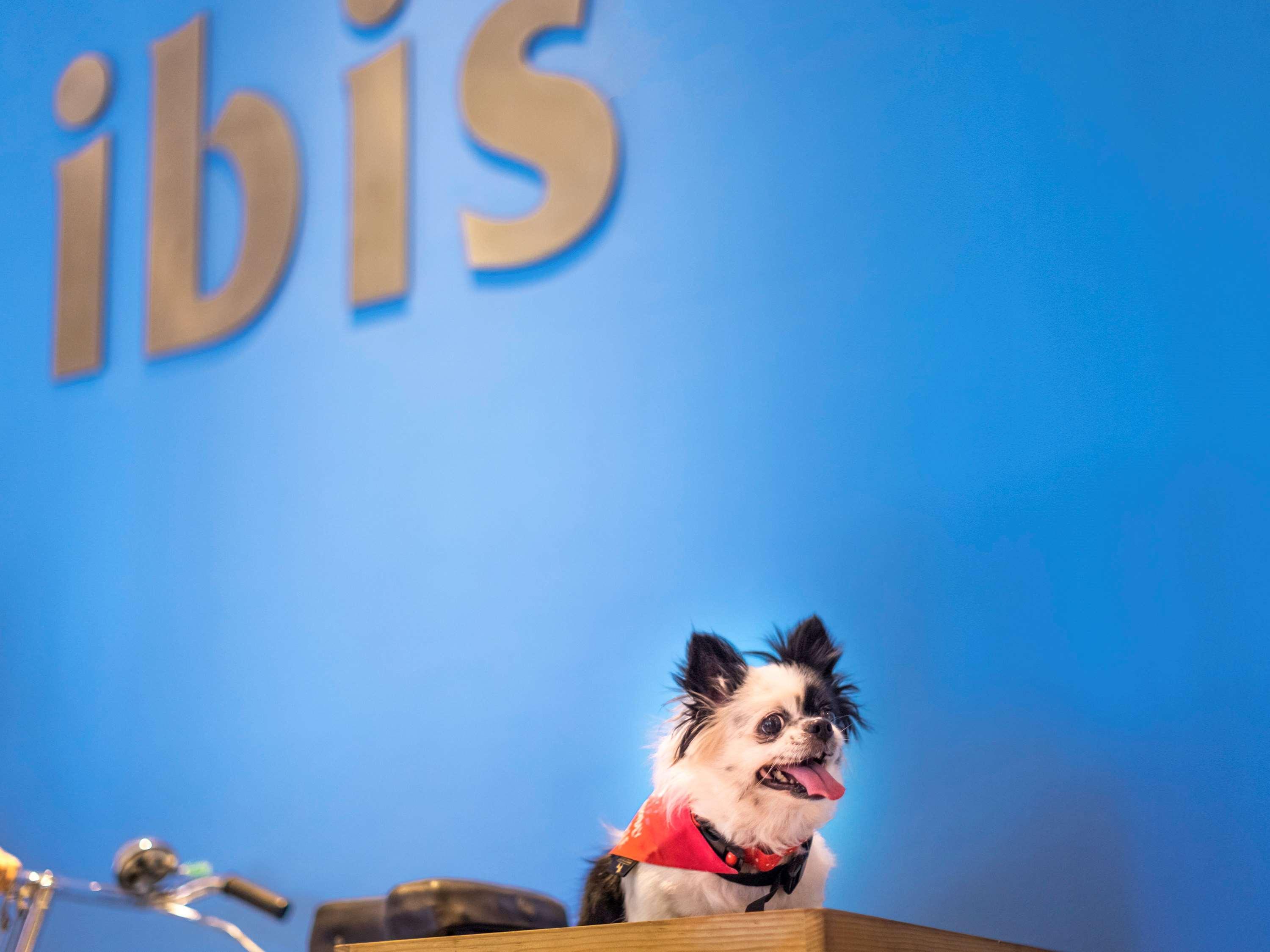 Hotel Ibis Bengaluru Hosur Road - An Accor Brand Exterior foto